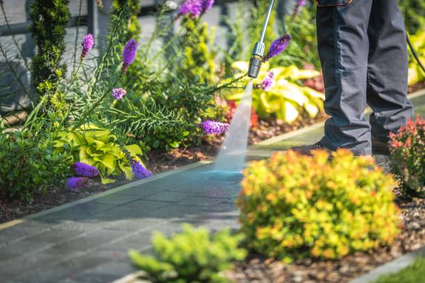 Best Dumpster Area Cleaning  in Fair Haven, NJ